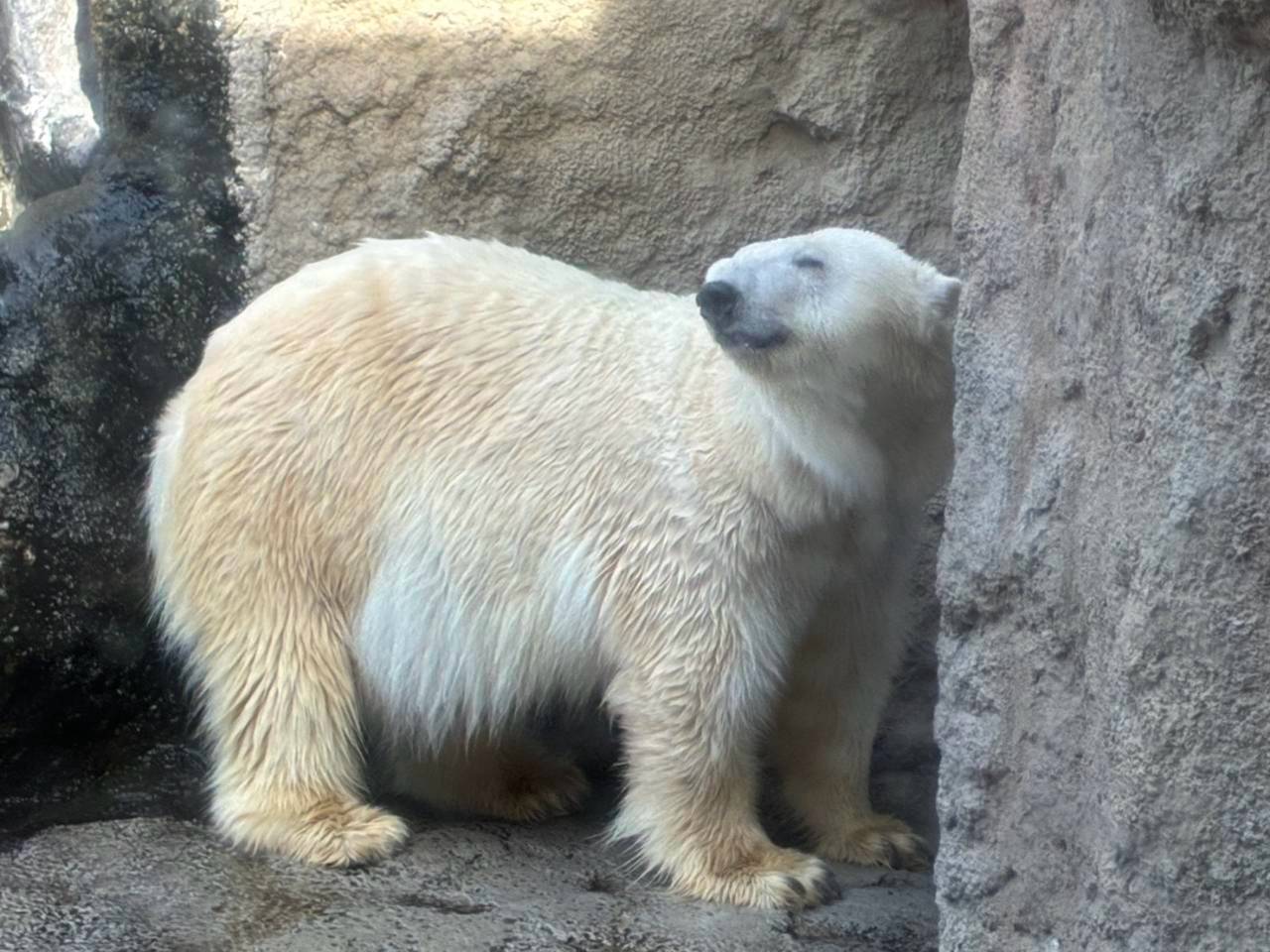 2日目の観光で訪れた旭山動物園での一枚